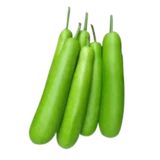 Lauki (लौकी)