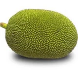Jack Fruit (Kathal)